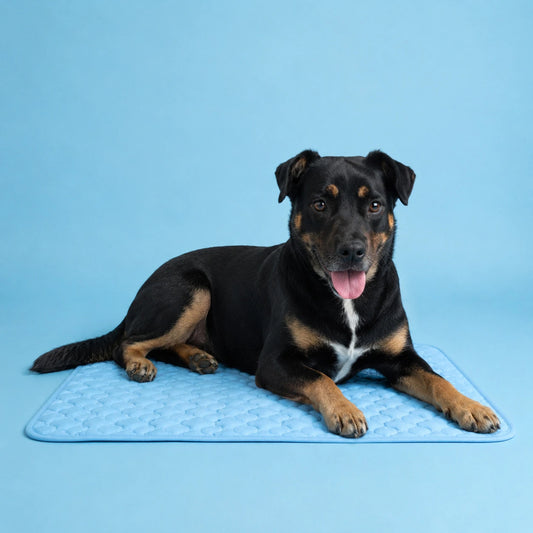 La alfombra refrescante que mantiene a tu perro fresco durante horas.