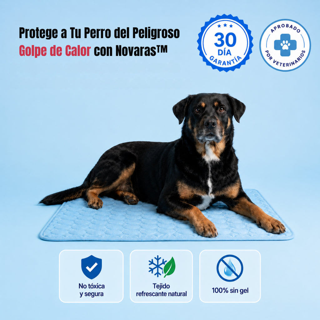 Protege A Tu Perro Del Sobrecalentamiento Y Del Peligroso Agotamiento Por Calor Con Novaras™