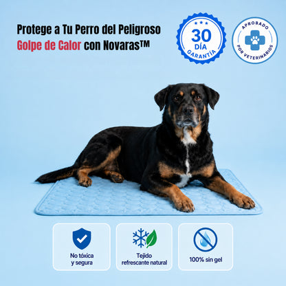 Protege A Tu Perro Del Sobrecalentamiento Y Del Peligroso Agotamiento Por Calor Con Novaras™
